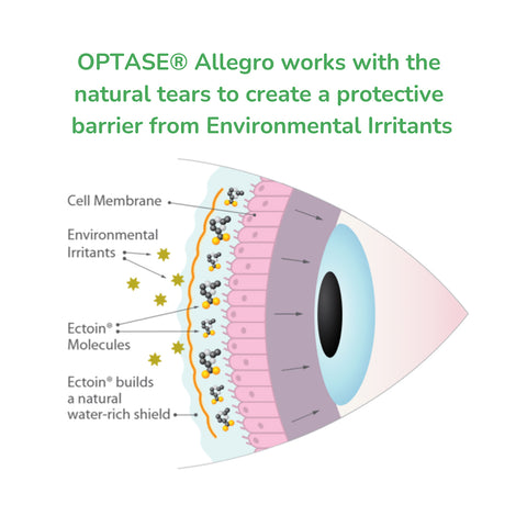 Optase Allegro Eye Drops for allergy related dry eye symptoms (10mL)