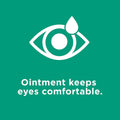 An illustration shows an eye with a teardrop on a green background, featuring the text Systane Nighttime Lubricant Eye Ointment (3.5g Tube) by Alcon ensures comfort for your eyes.